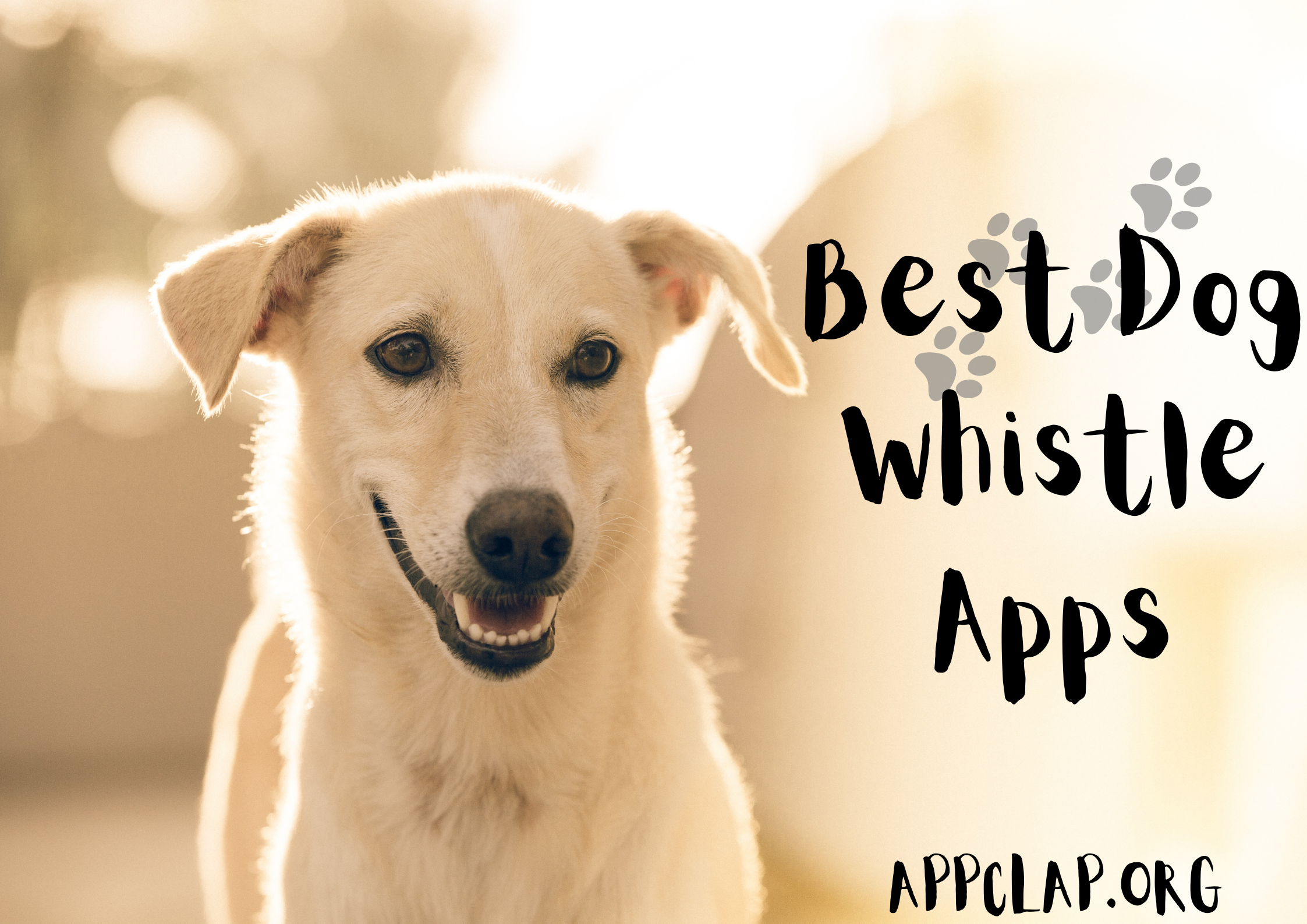 Best Dog Whistle Apps